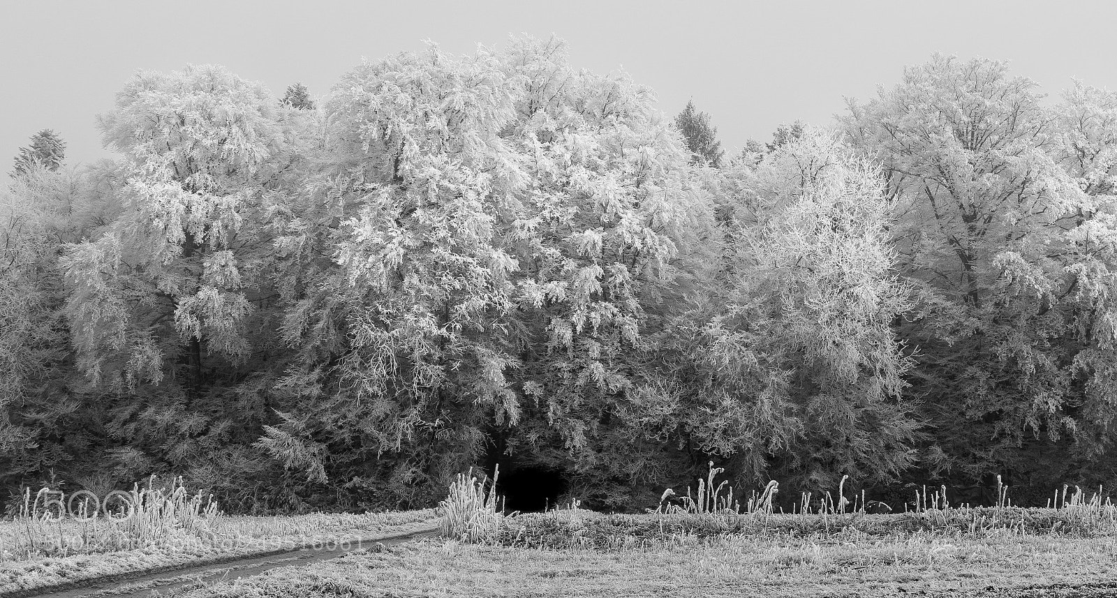 Fujifilm X-T2 sample photo. Black hole photography