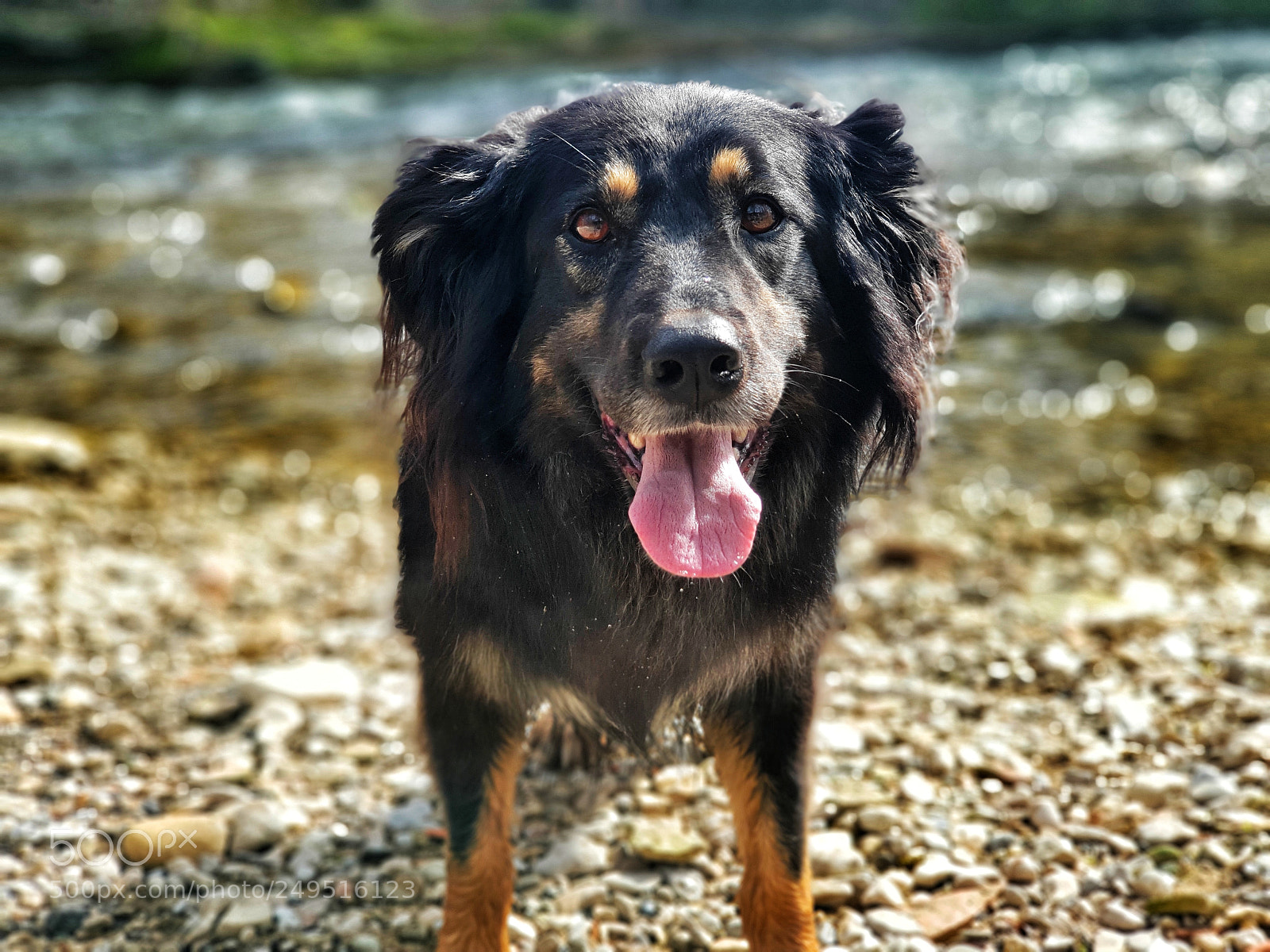 Samsung Galaxy S9+ sample photo. Untitled photography