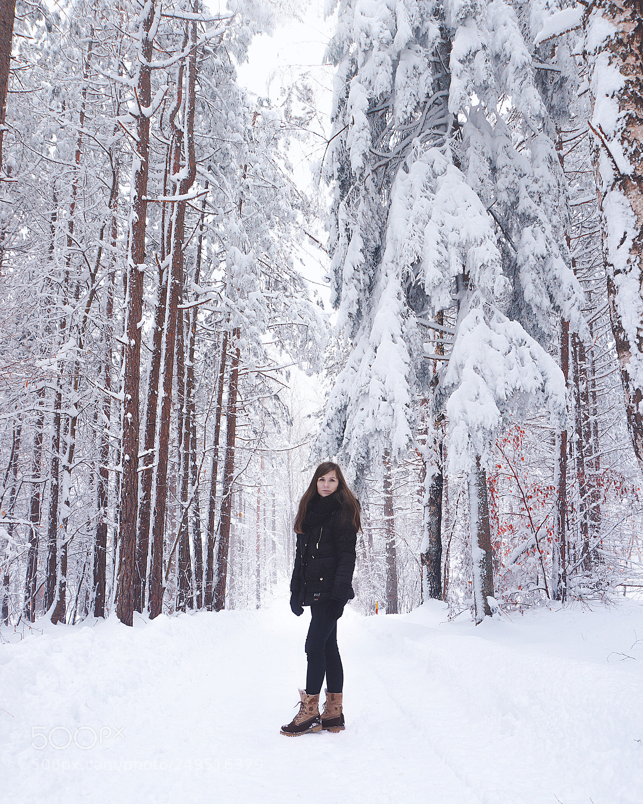 Sony a6000 sample photo. Inside the forest photography