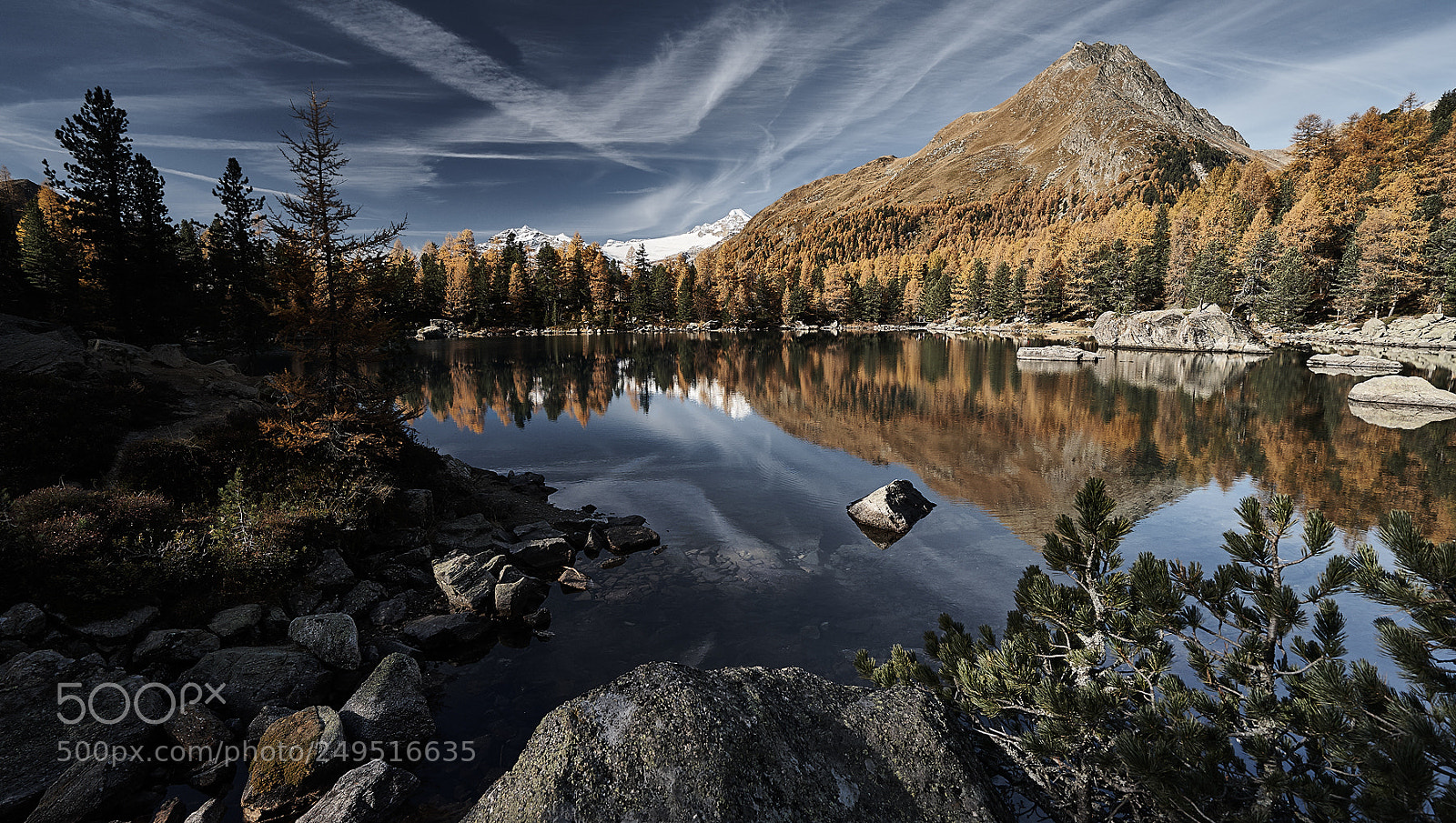 Sony a7 II sample photo. Autumn beauty photography