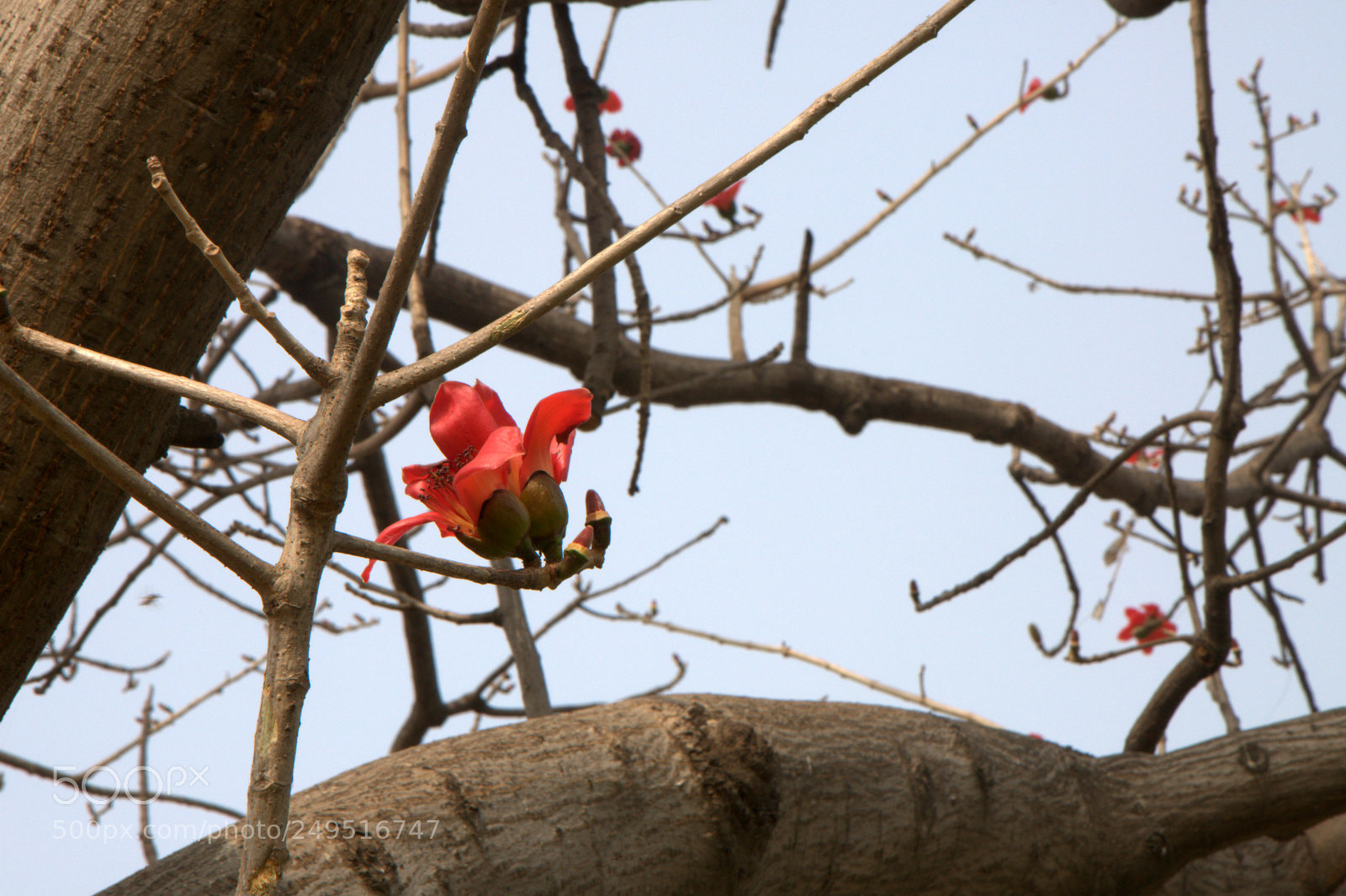Nikon D90 sample photo. Alone photography