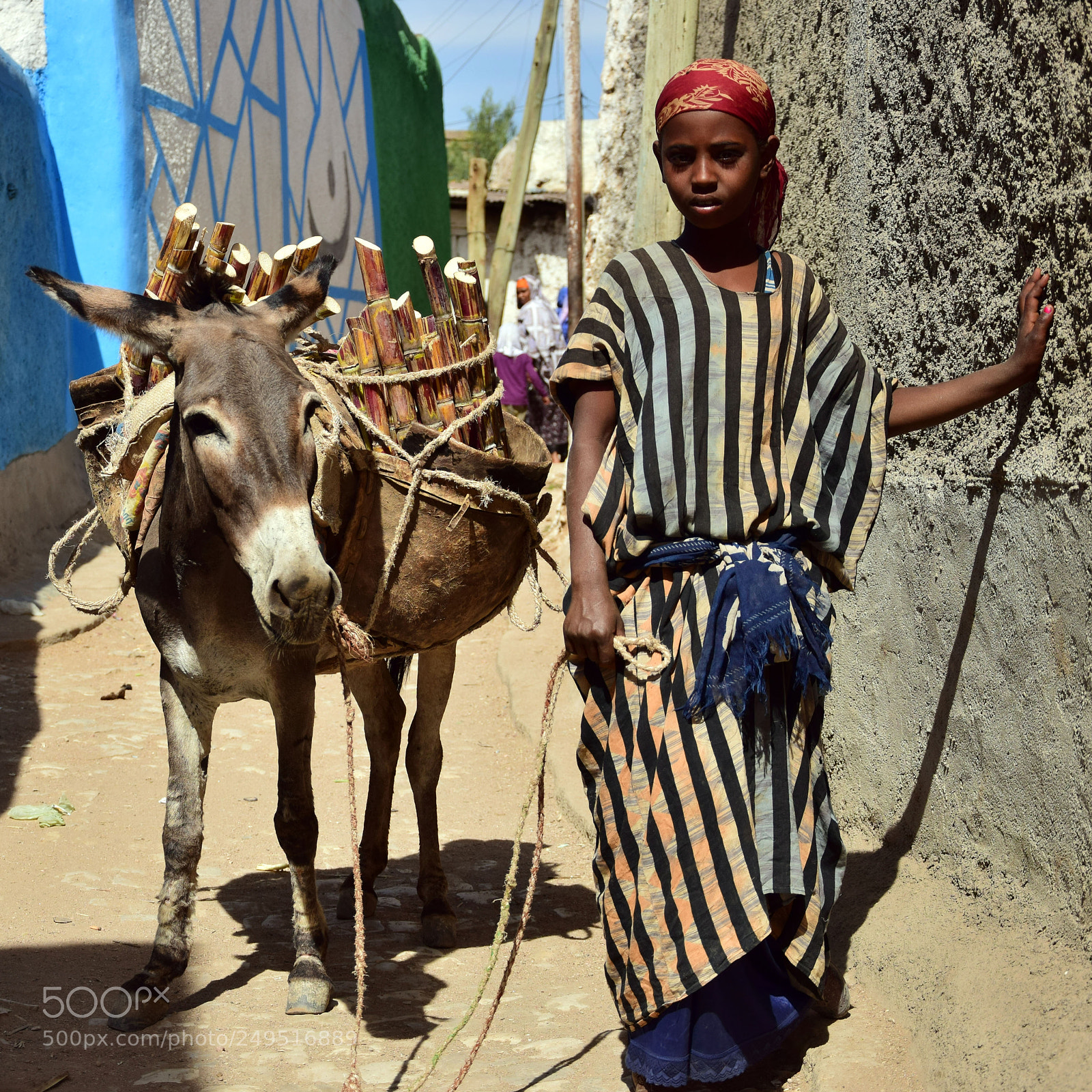 Nikon D5300 sample photo. A girl from harar photography