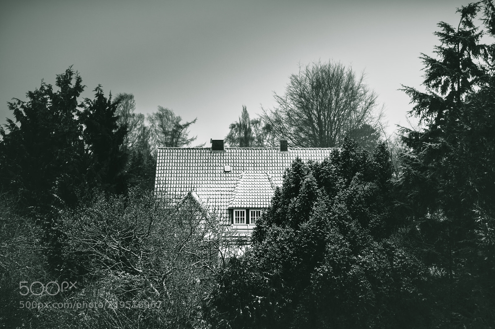 Nikon D5300 sample photo. --- hidden --- photography