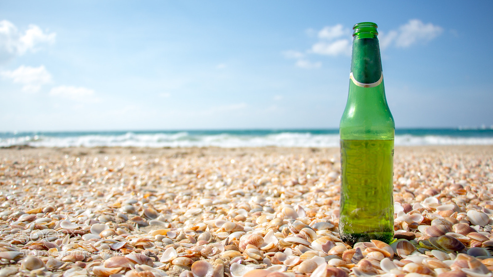 Canon EOS 700D (EOS Rebel T5i / EOS Kiss X7i) sample photo. Bear bottle on the photography