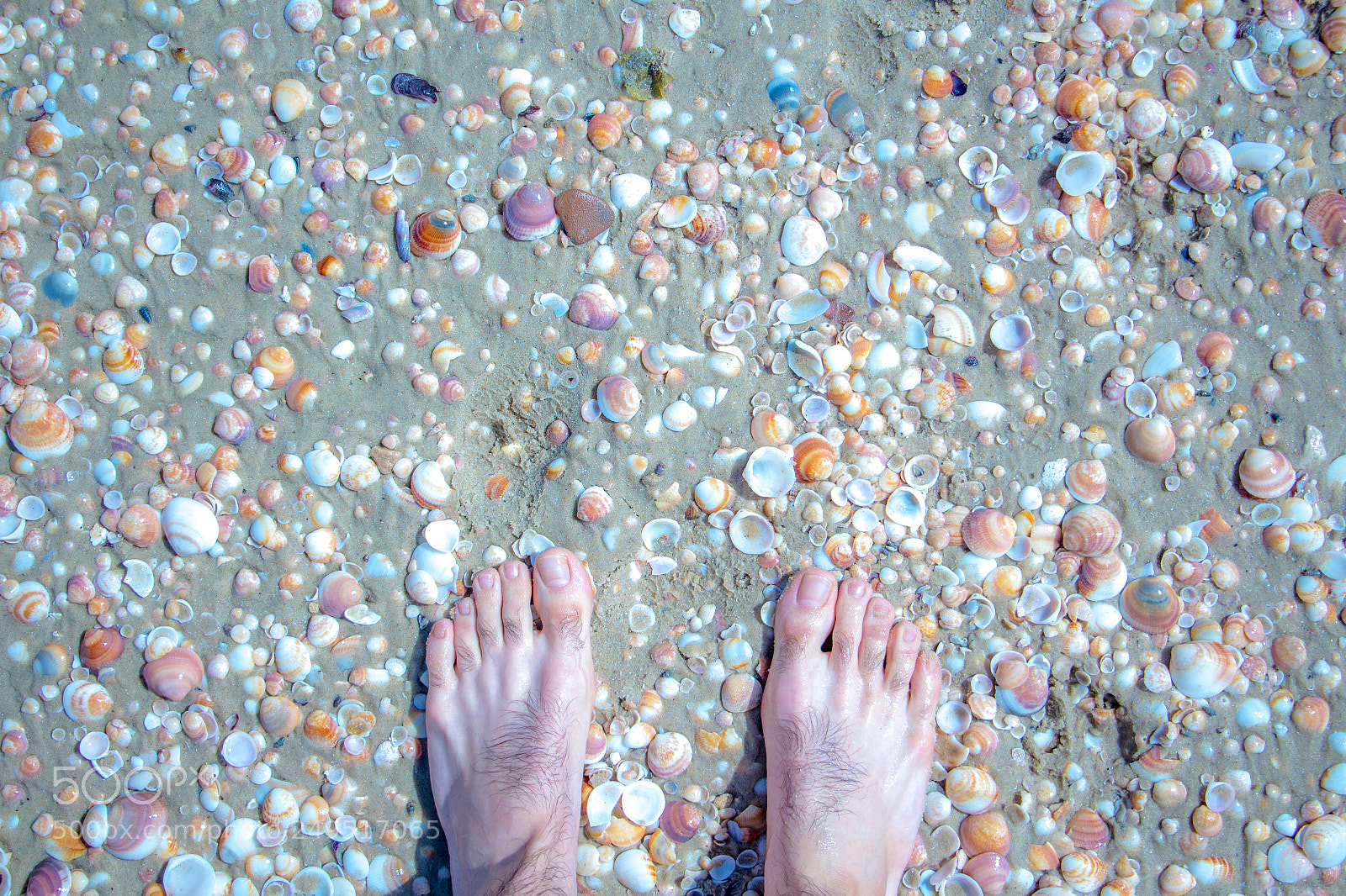 Canon EOS 700D (EOS Rebel T5i / EOS Kiss X7i) sample photo. Feet on the beach photography