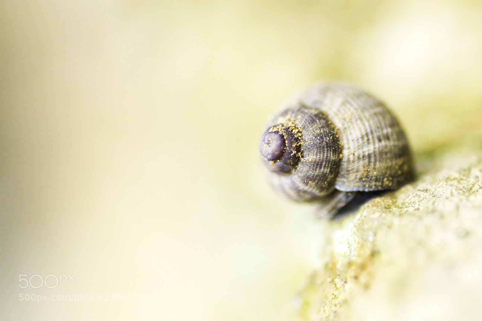 Canon EOS 7D sample photo. _mg_1429-2.jpg photography