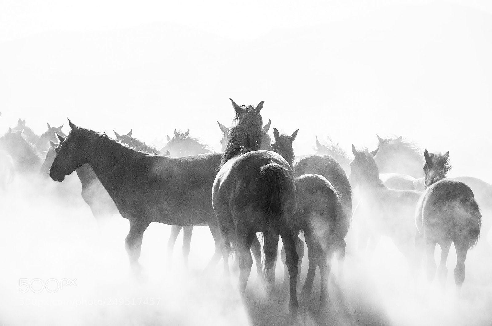 Nikon D90 sample photo. Dusty beauty photography