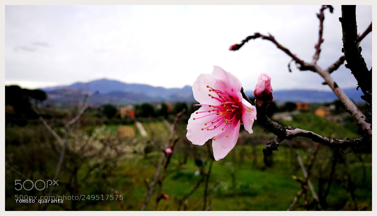 HUAWEI P9 Plus sample photo. Untitled photography