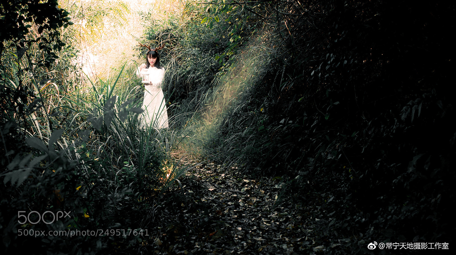 Canon EOS 5D Mark IV sample photo. 前行 photography