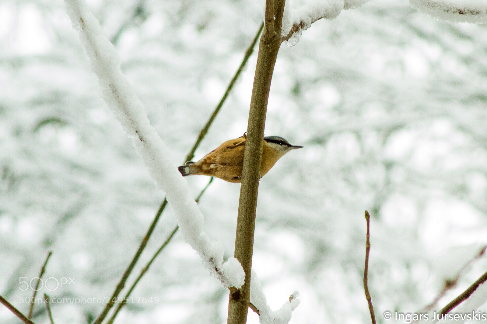 Canon EOS 7D sample photo. Untitled photography