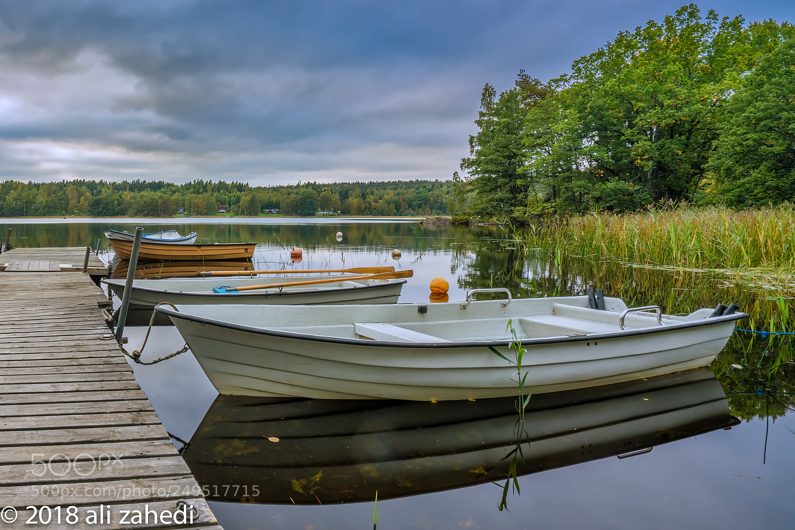 Sony a7R II sample photo. P:b photography