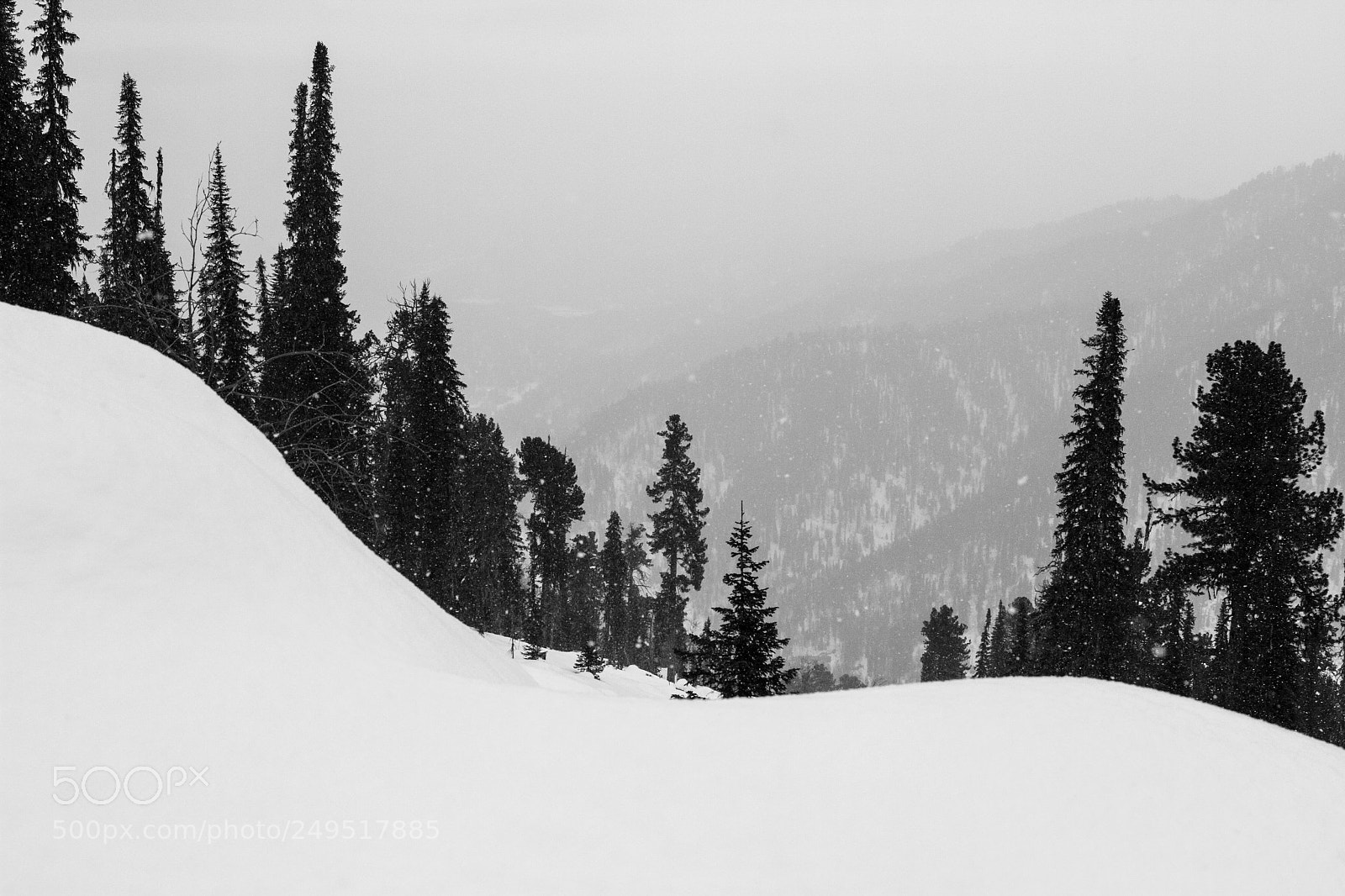 Canon EOS 7D sample photo. Snowing photography