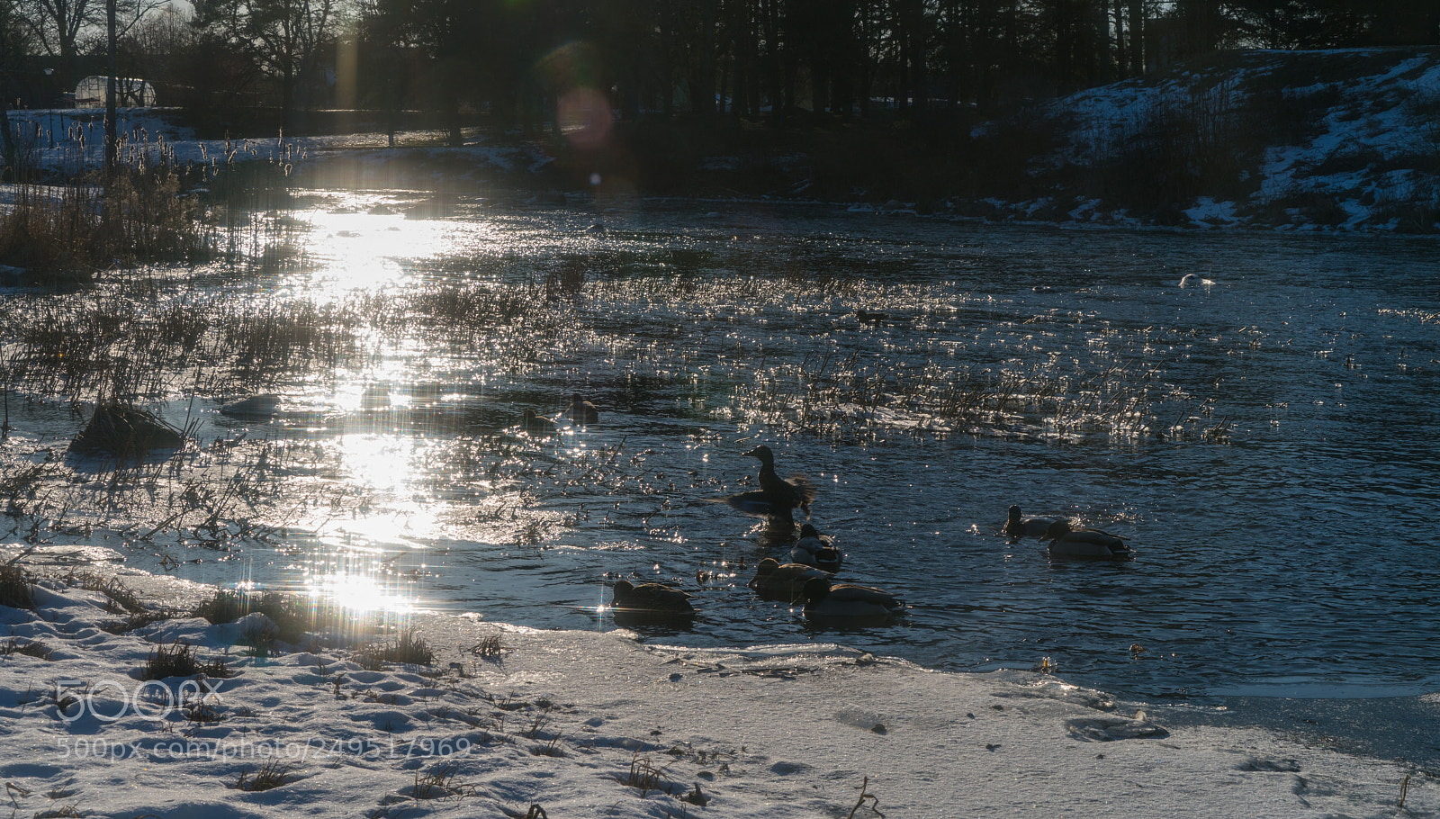 Sony a7R II sample photo. Dsc03858-2.jpg photography