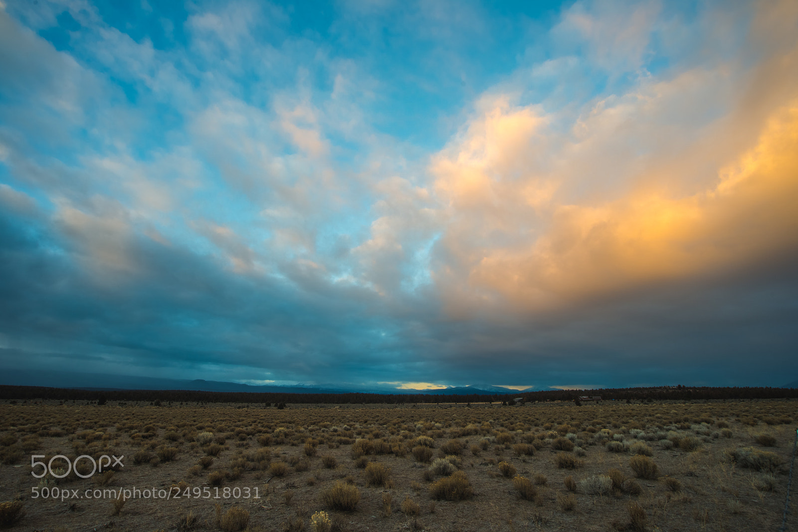 Nikon D600 sample photo. Sunrise in central oregon photography