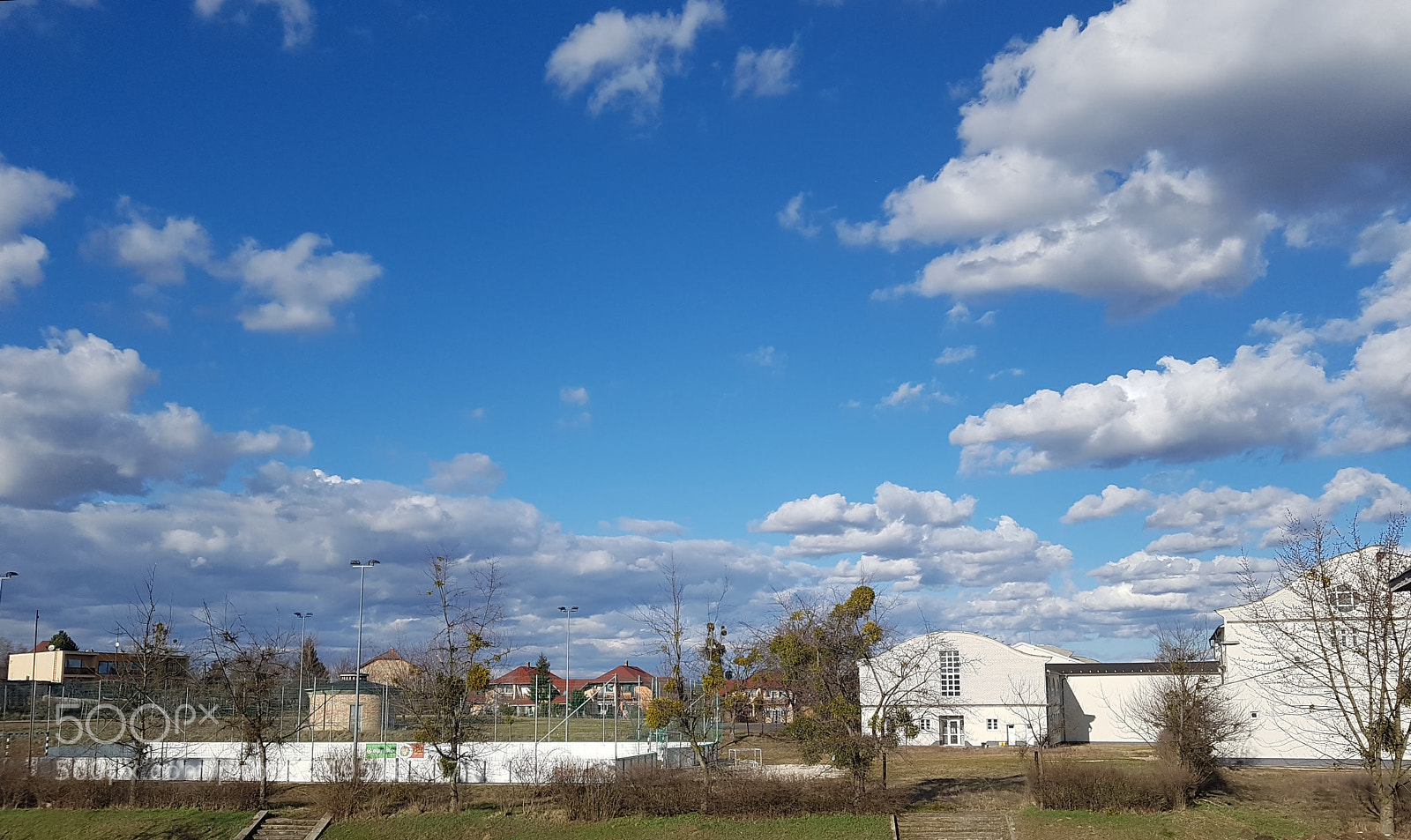 Samsung Galaxy S7 Edge sample photo. Spring is coming photography