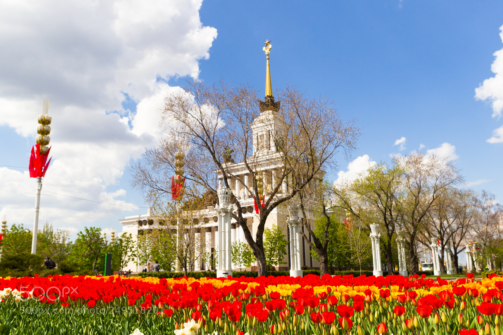 Canon EOS-1D Mark IV sample photo. Moscow, russia, the park photography