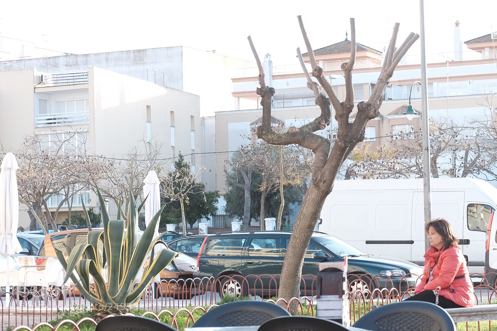 Fujifilm X-T1 sample photo. I am so sad... photography