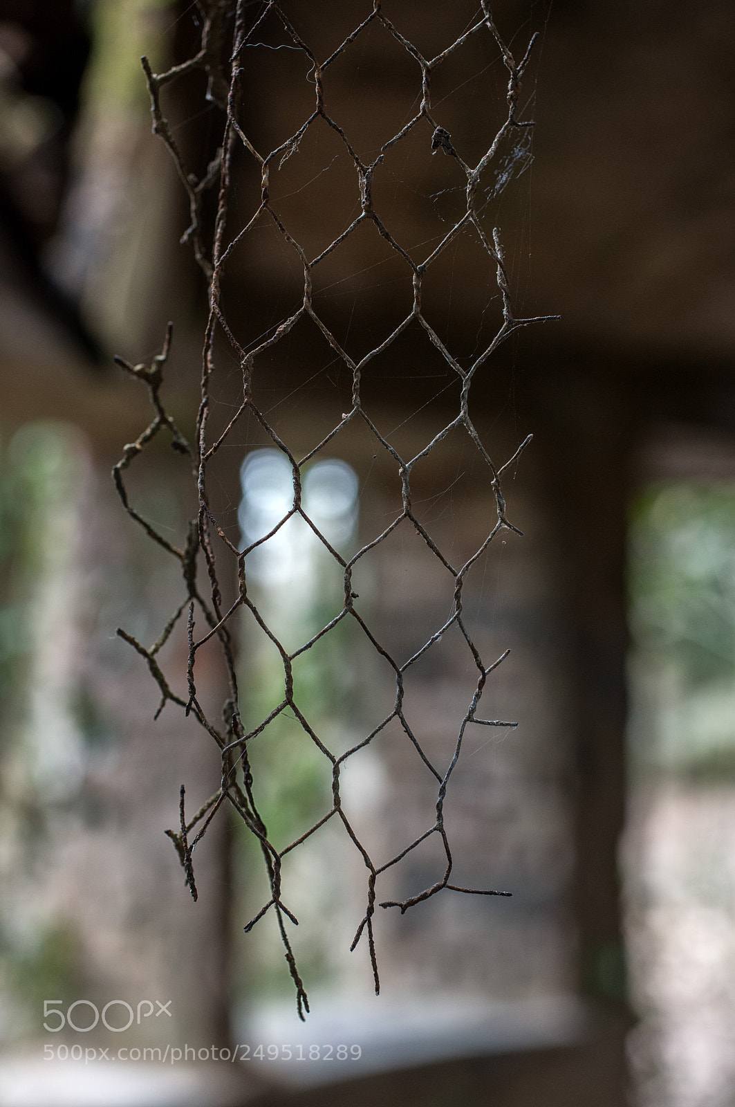 Nikon D800 sample photo. Charlott photography