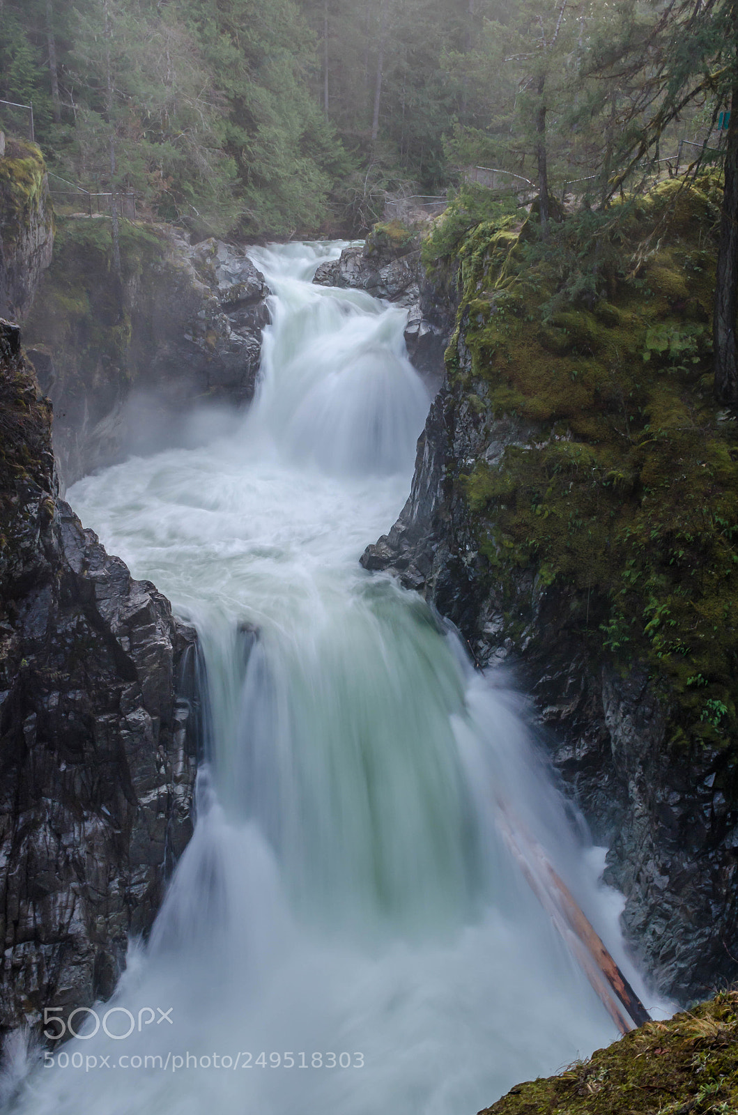 Nikon D5100 sample photo. Upper little qualicum falls photography