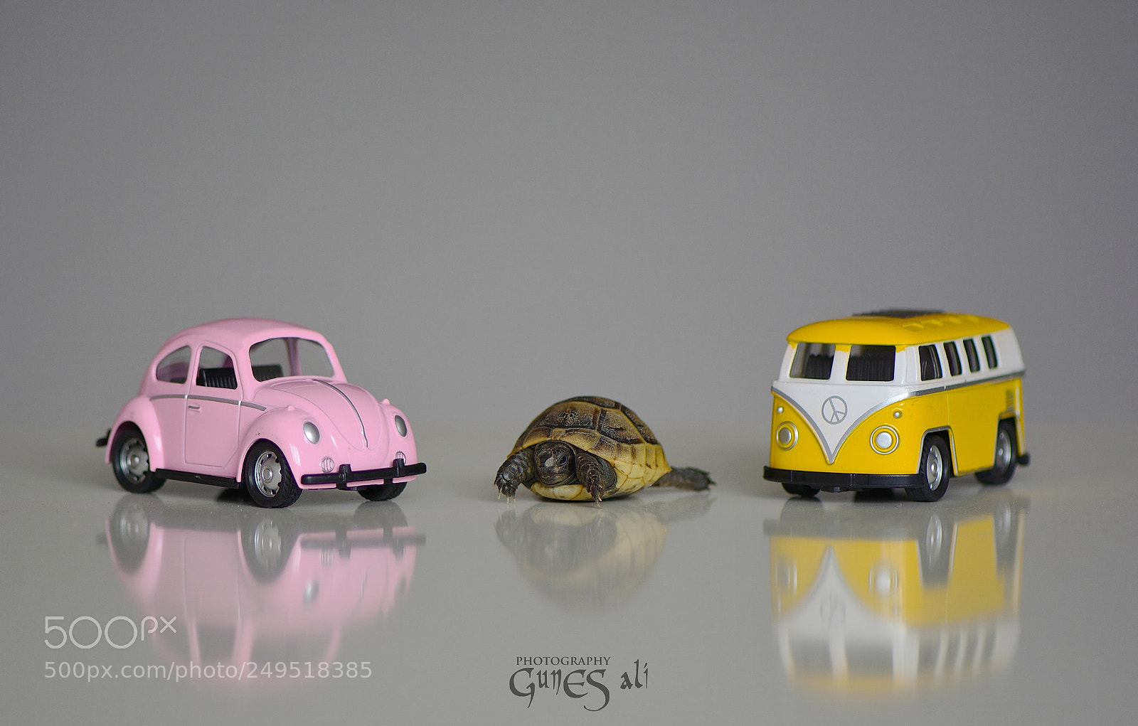 Nikon D7100 sample photo. Minik kaplumbağa photography