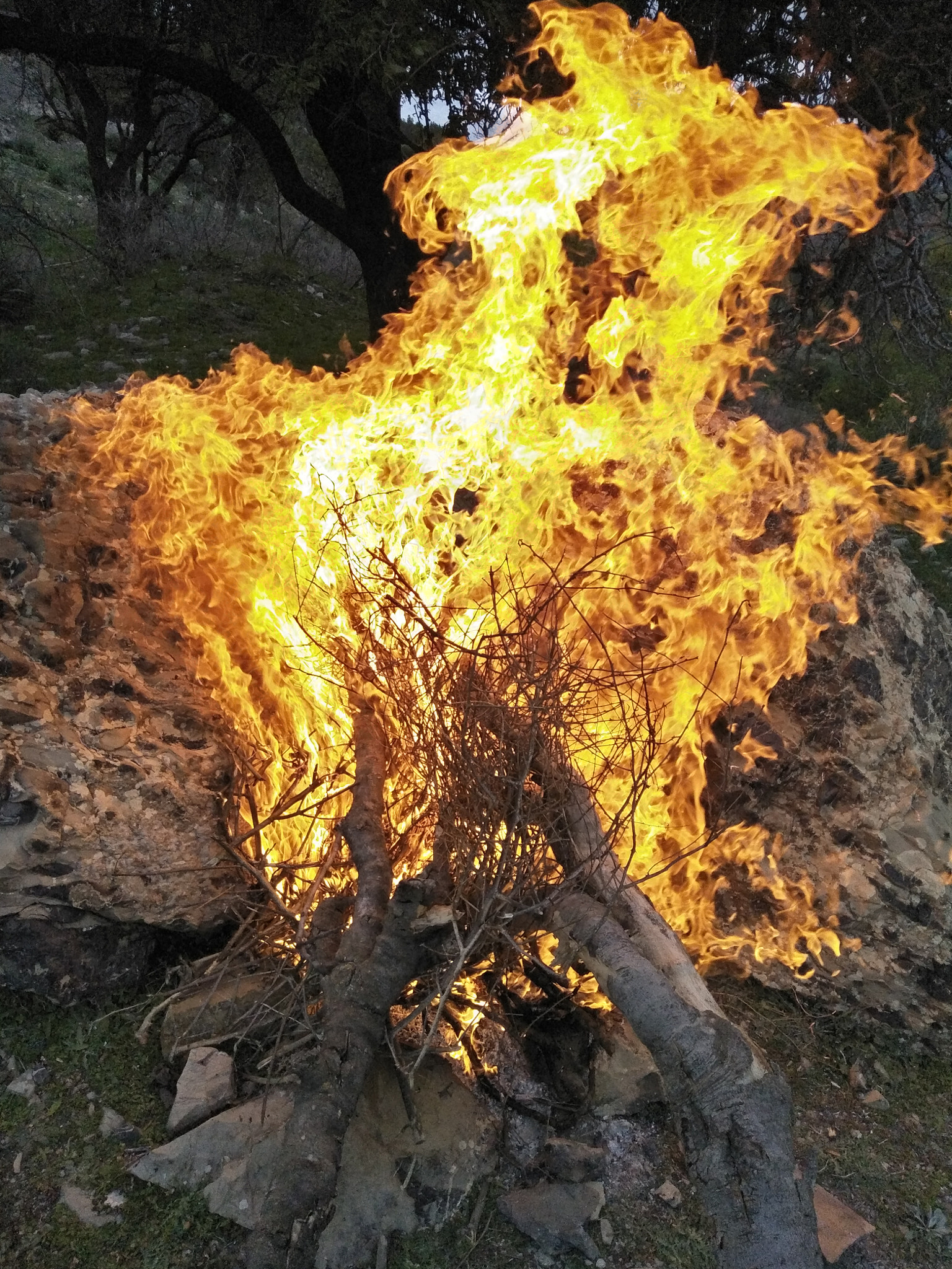 OPPO CPH1701 sample photo. Fire !! photography