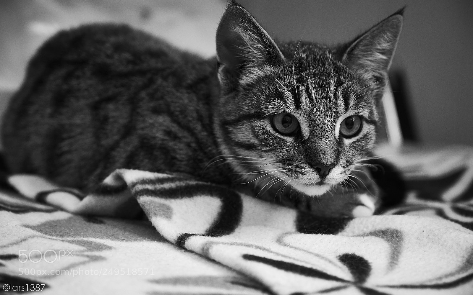 Fujifilm X-T1 sample photo. Watchfulness photography