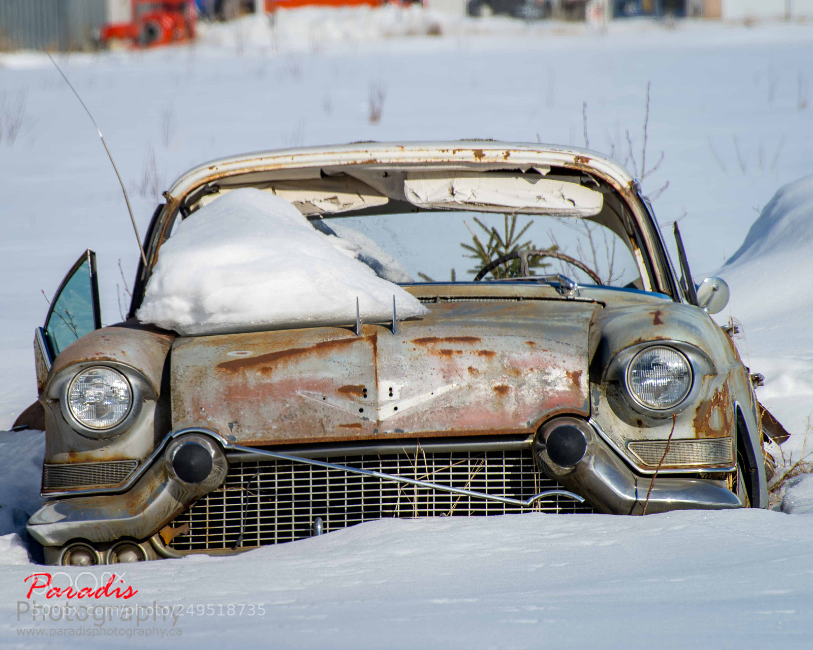 Nikon D600 sample photo. Wreck 2018 photography