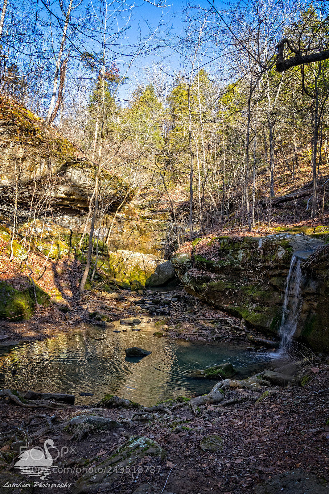 Nikon D5200 sample photo. Rebman trail photography