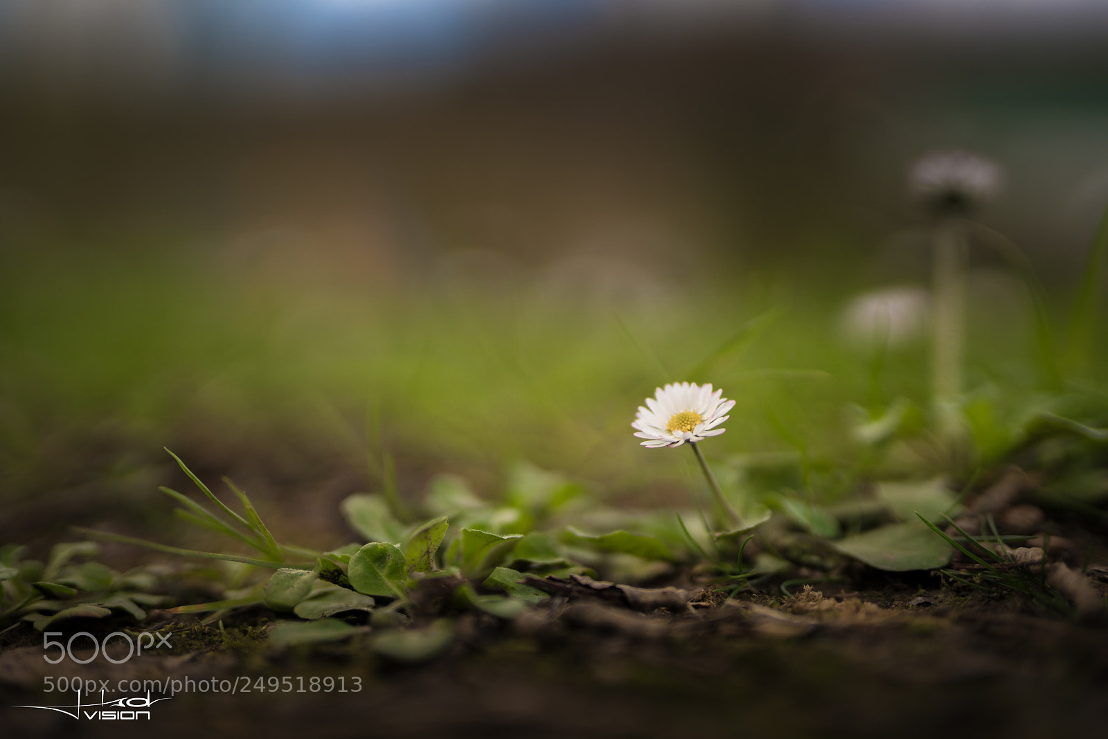 Sony a7R II sample photo. ?????? photography
