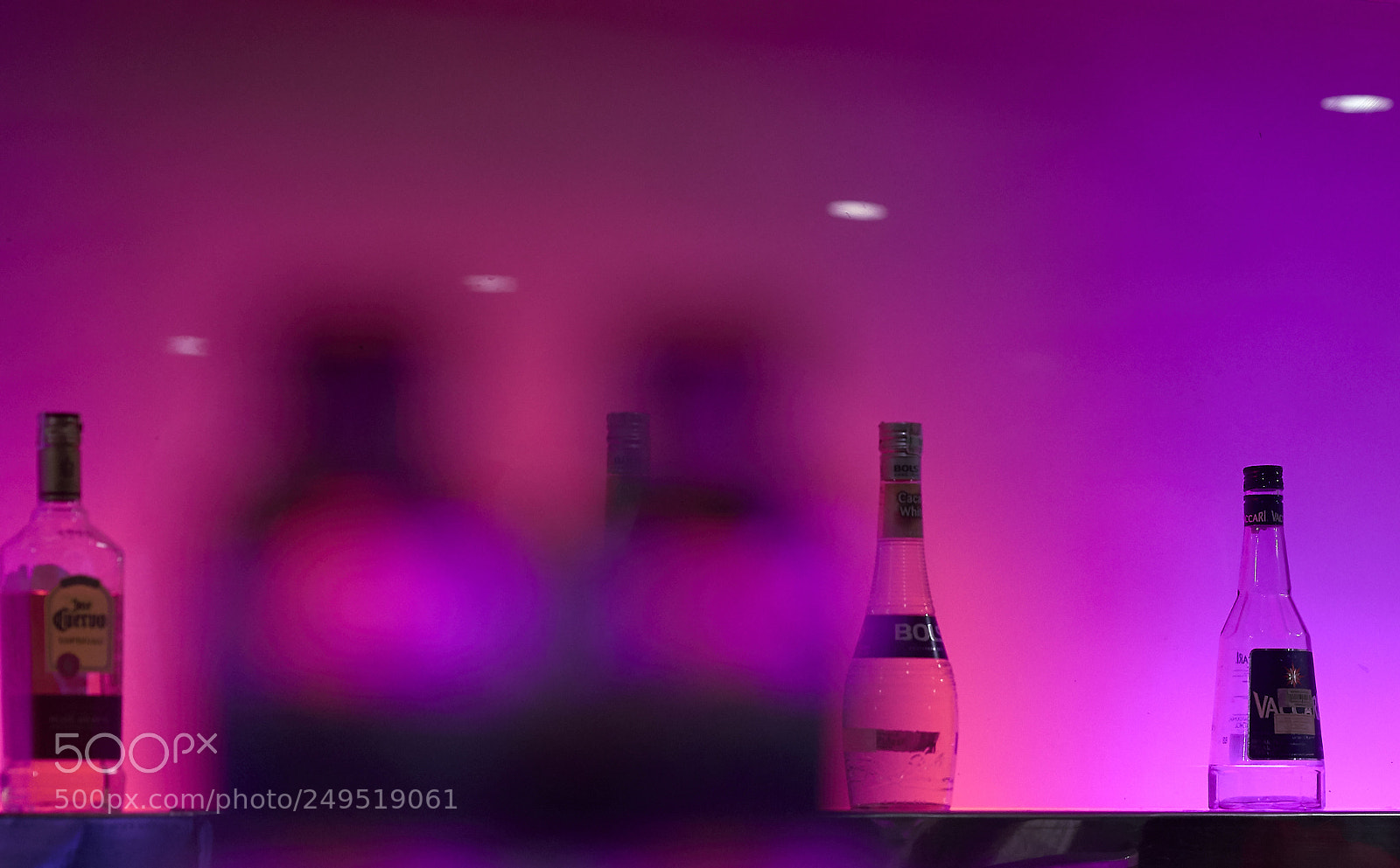 Sony a9 sample photo. Purple emotion photography