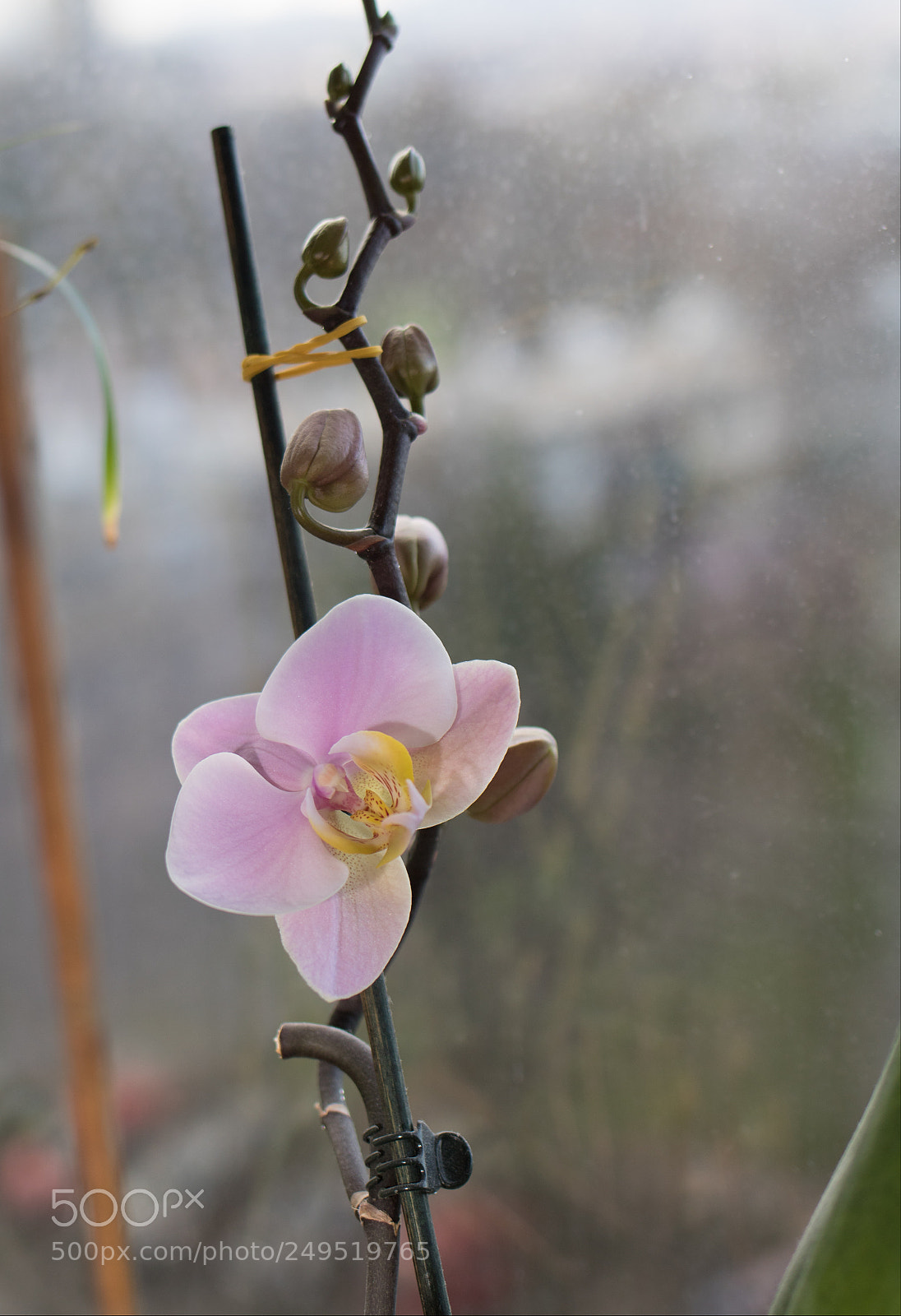 Canon EOS 760D (EOS Rebel T6s / EOS 8000D) sample photo. 1st photography
