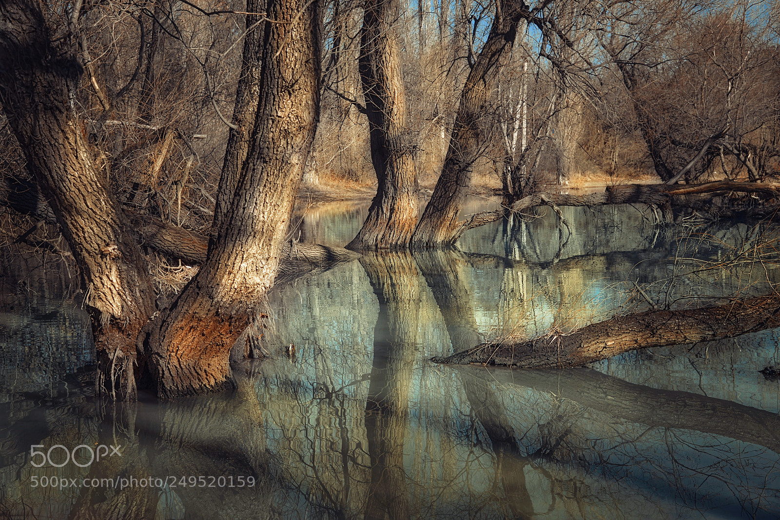 Nikon D610 sample photo. Flooding photography