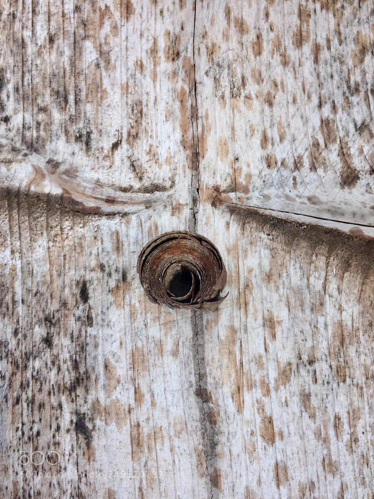 Apple iPhone 5s sample photo. Untitled photography