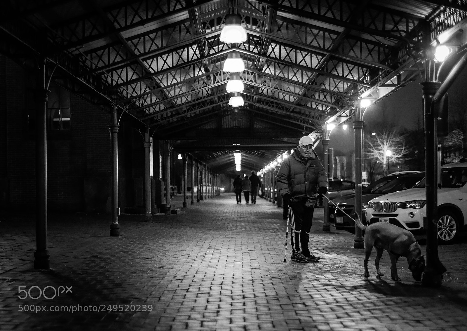 Nikon Df sample photo. Walking the dog photography