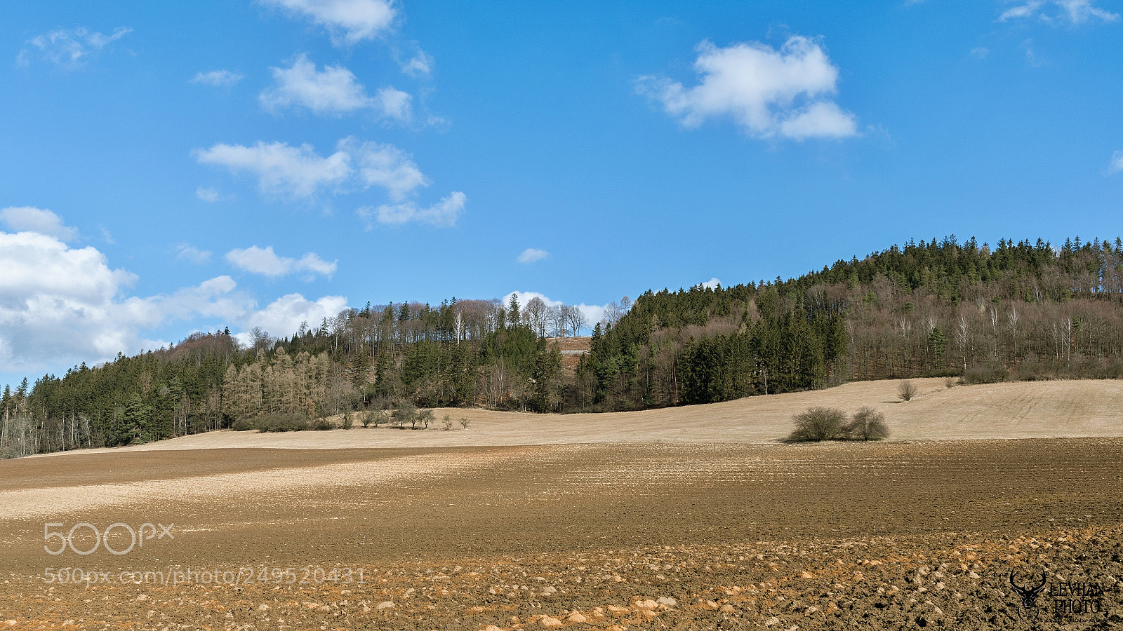 Nikon D500 sample photo. Spring iron mountains photography