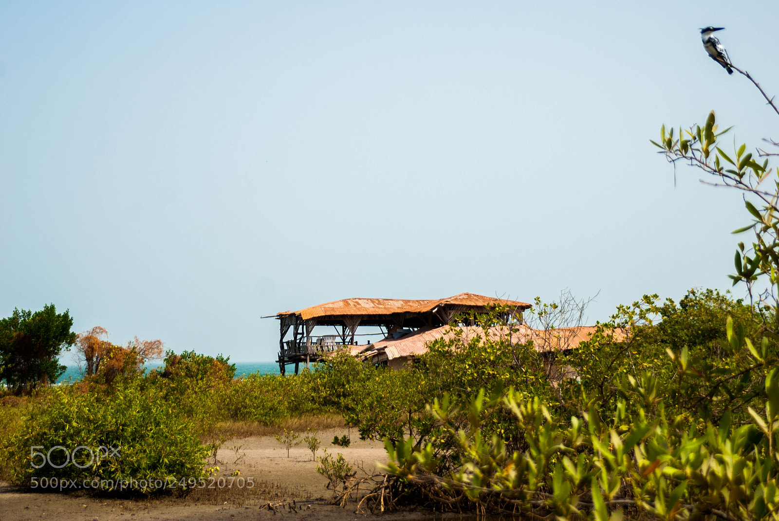 Nikon D80 sample photo. Beach restaurant photography