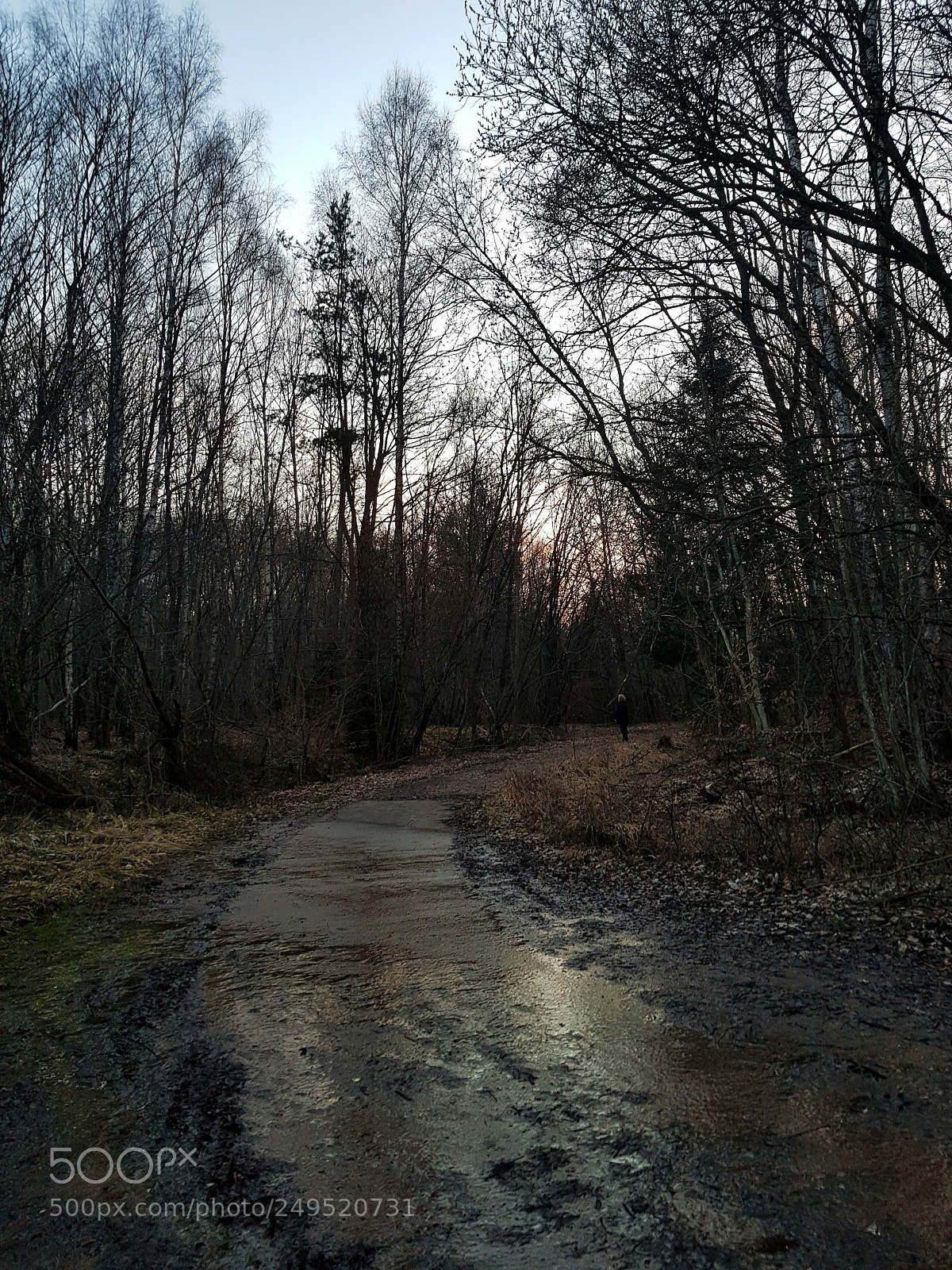 Samsung Galaxy S8 sample photo. It's always your own photography