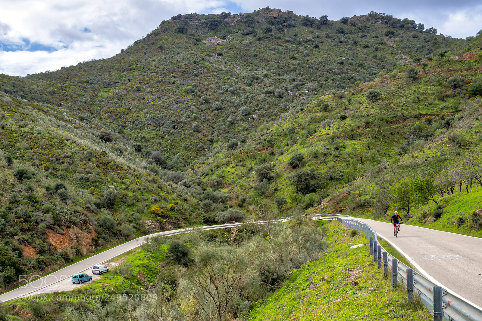 Nikon D800 sample photo. Carretera sinuosa photography