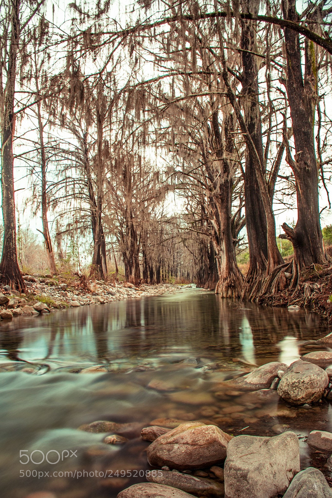 Nikon D7100 sample photo. R o morita, allende photography