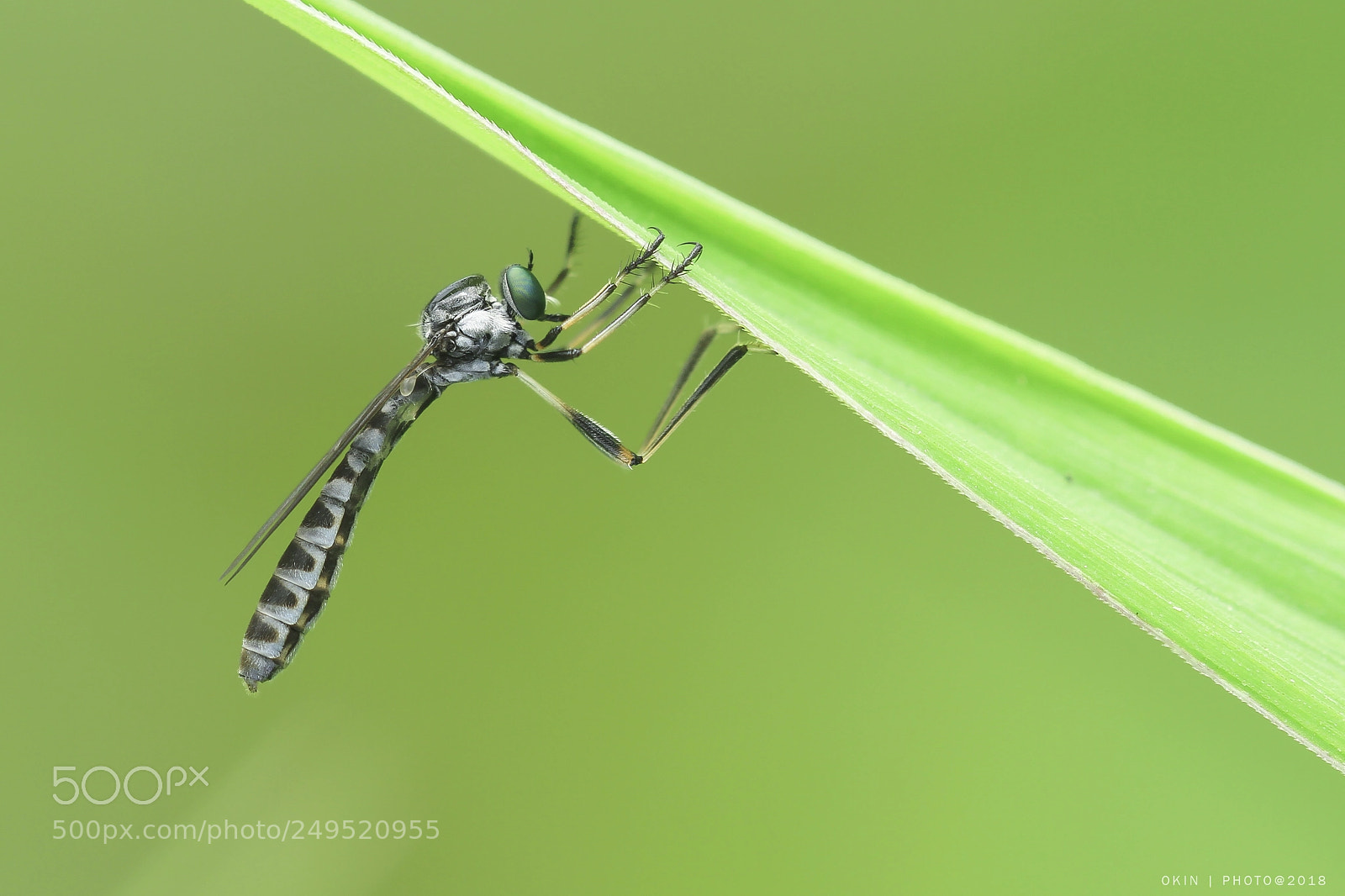 Canon EOS 7D sample photo. ? photography