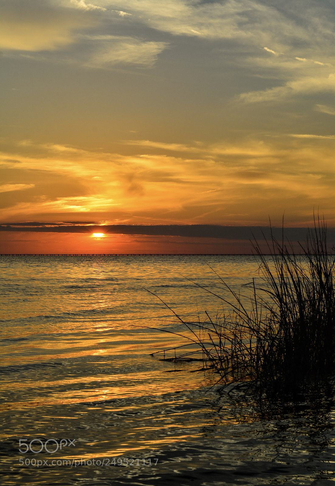 Nikon D7100 sample photo. Fontainebleau sunset photography