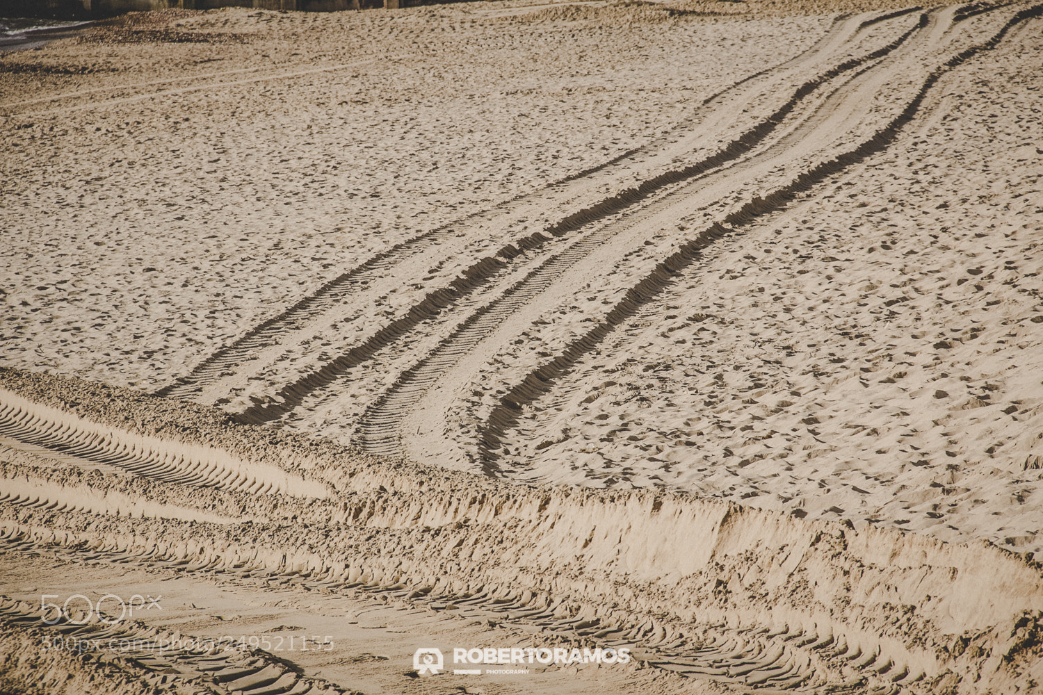 Canon EOS 60D sample photo. Beach paths photography