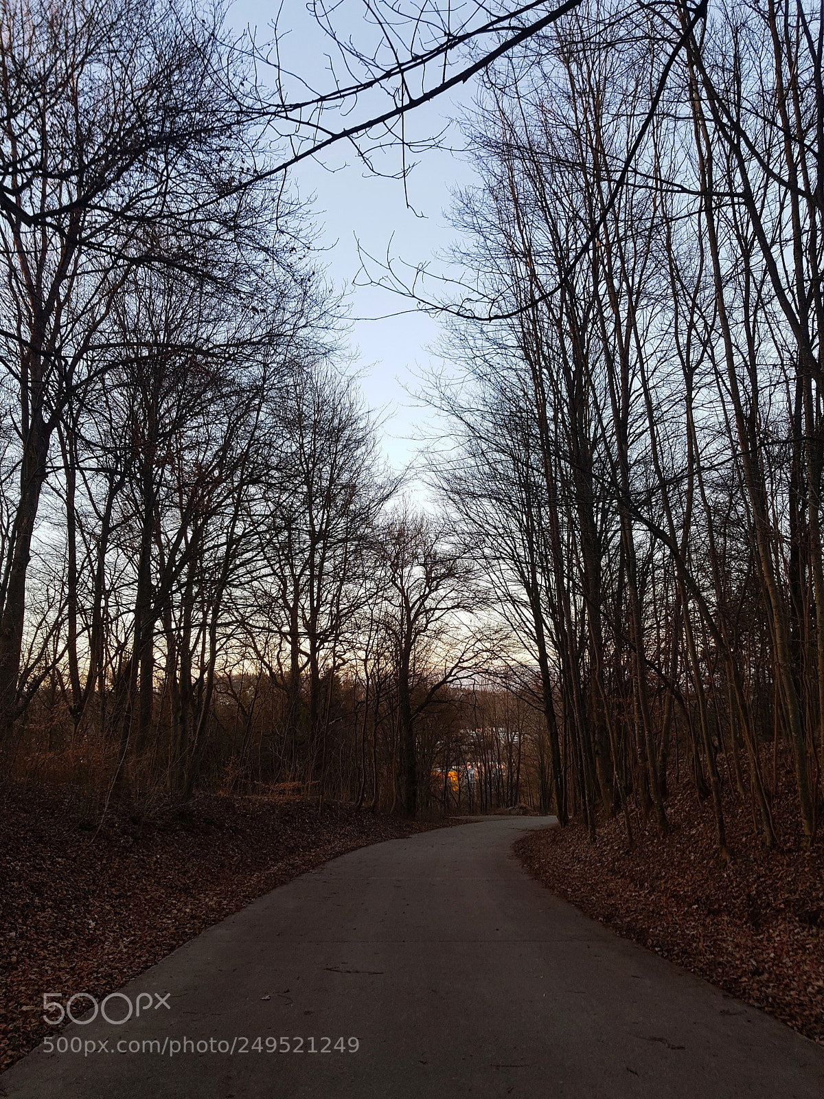 Samsung Galaxy S8 sample photo. Untitled photography