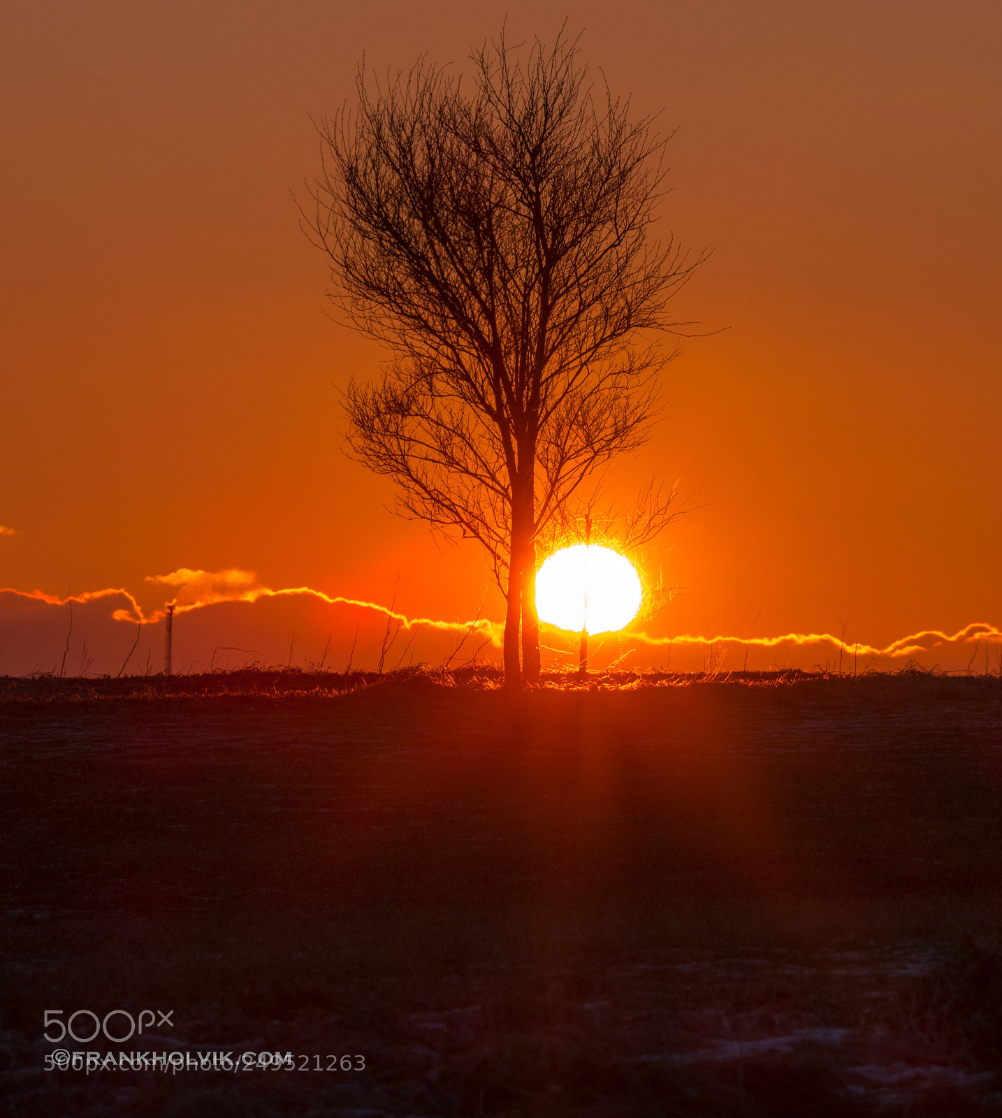 Samsung NX1 sample photo. The sun and tree photography
