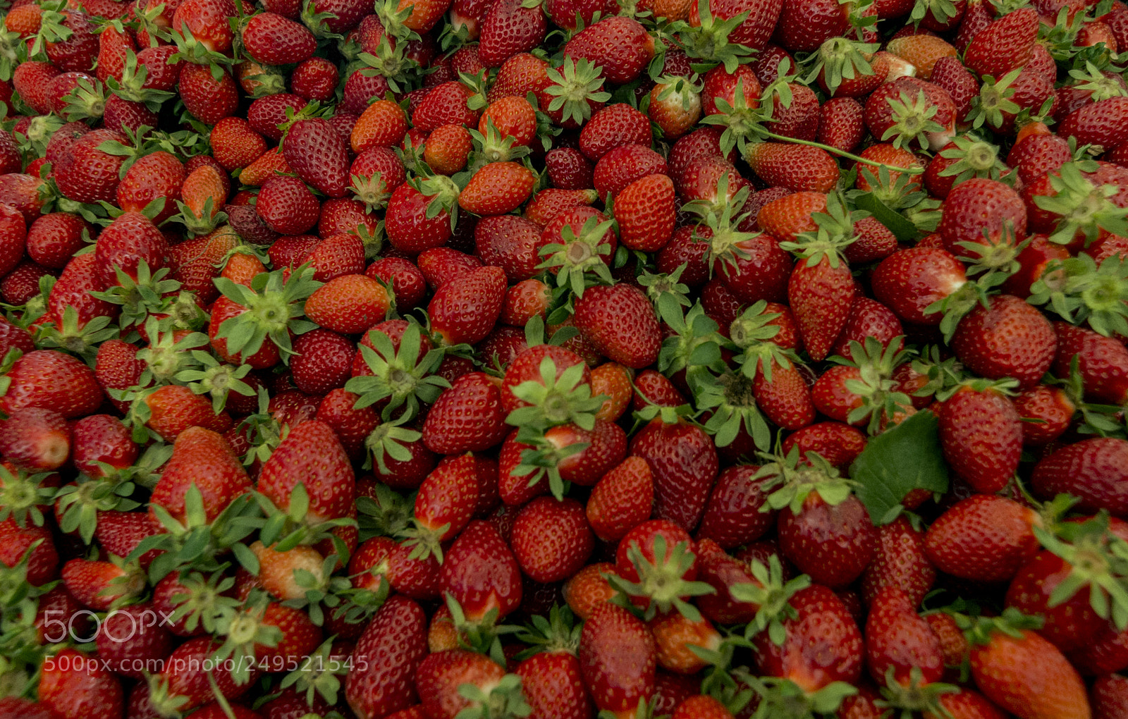 Nikon D610 sample photo. Strawberry photography