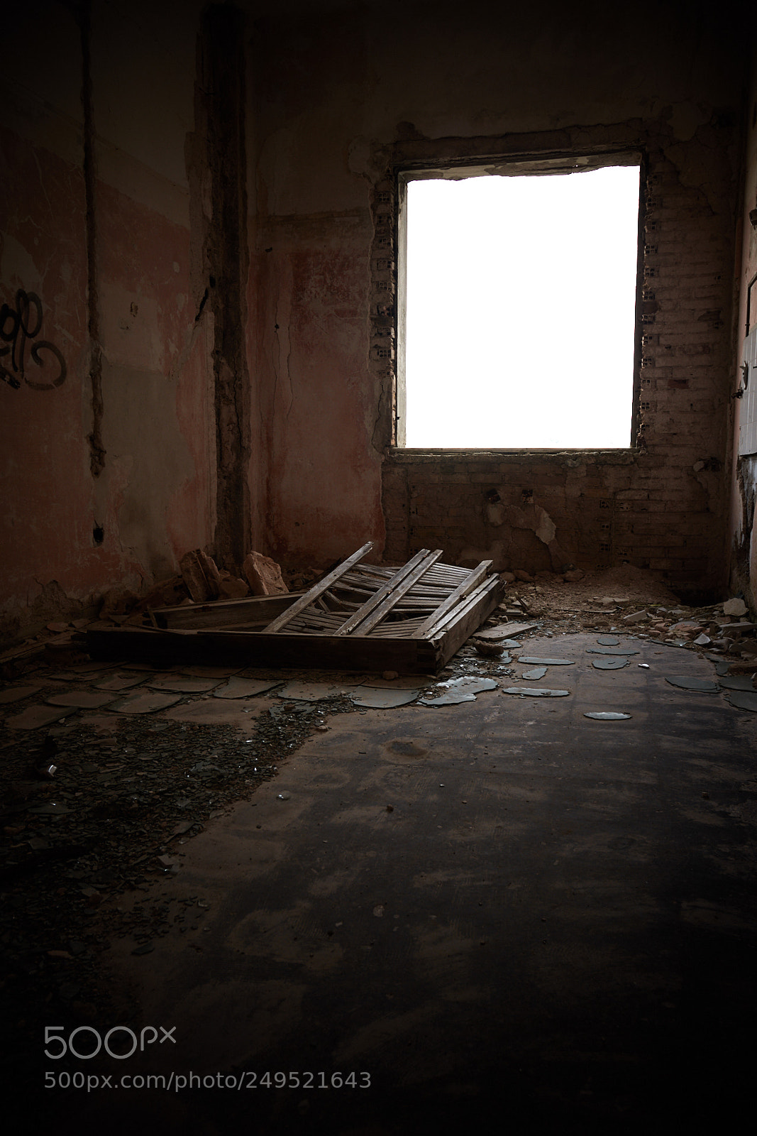 Nikon D7200 sample photo. Untitled photography