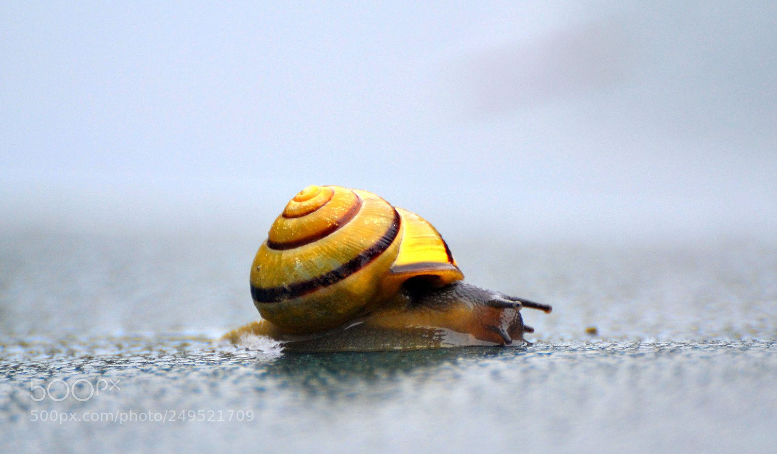 Nikon D3100 sample photo. A slow day photography