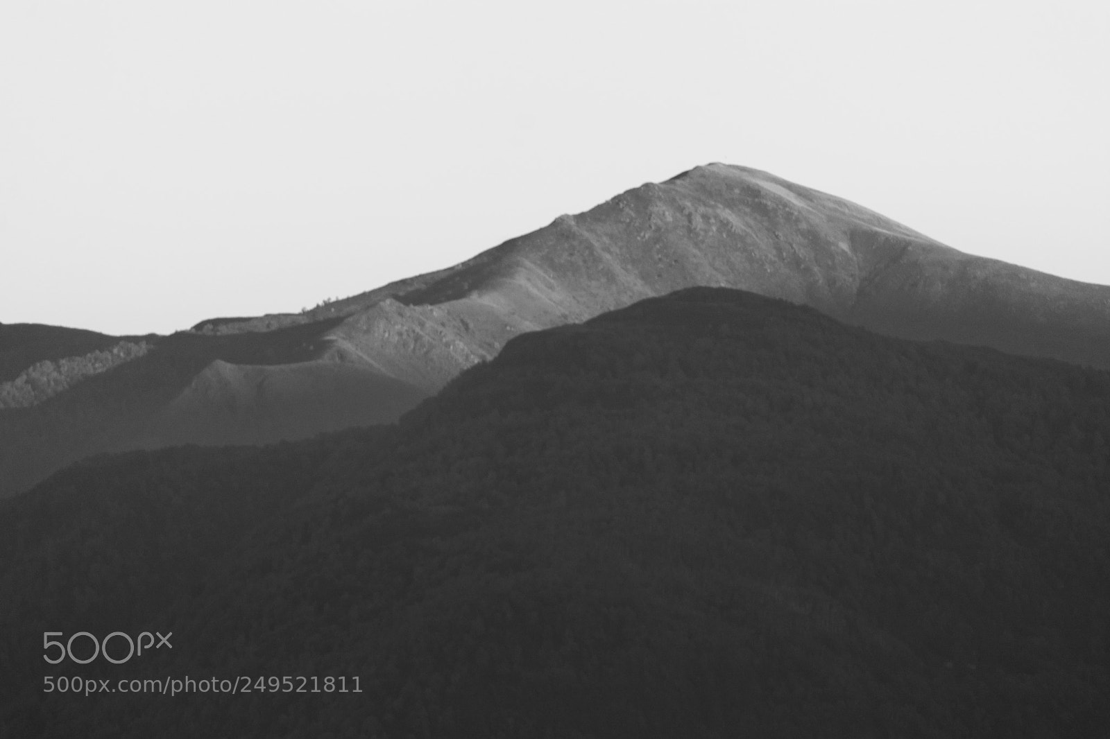 Nikon D7100 sample photo. Beside you photography