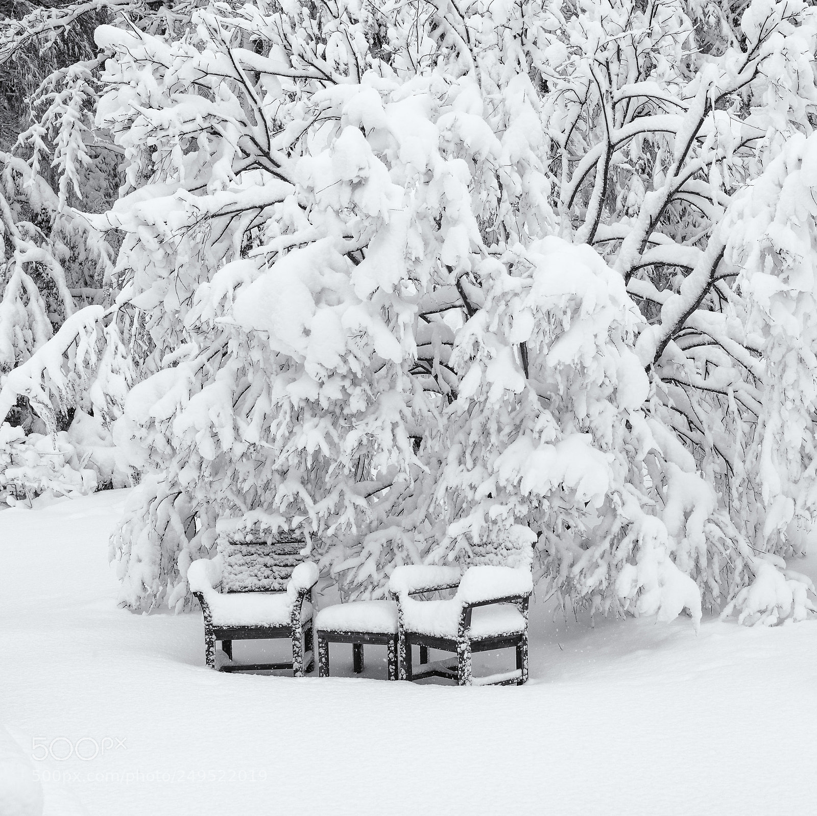 Hasselblad X1D-50c sample photo. Snowy chairs photography