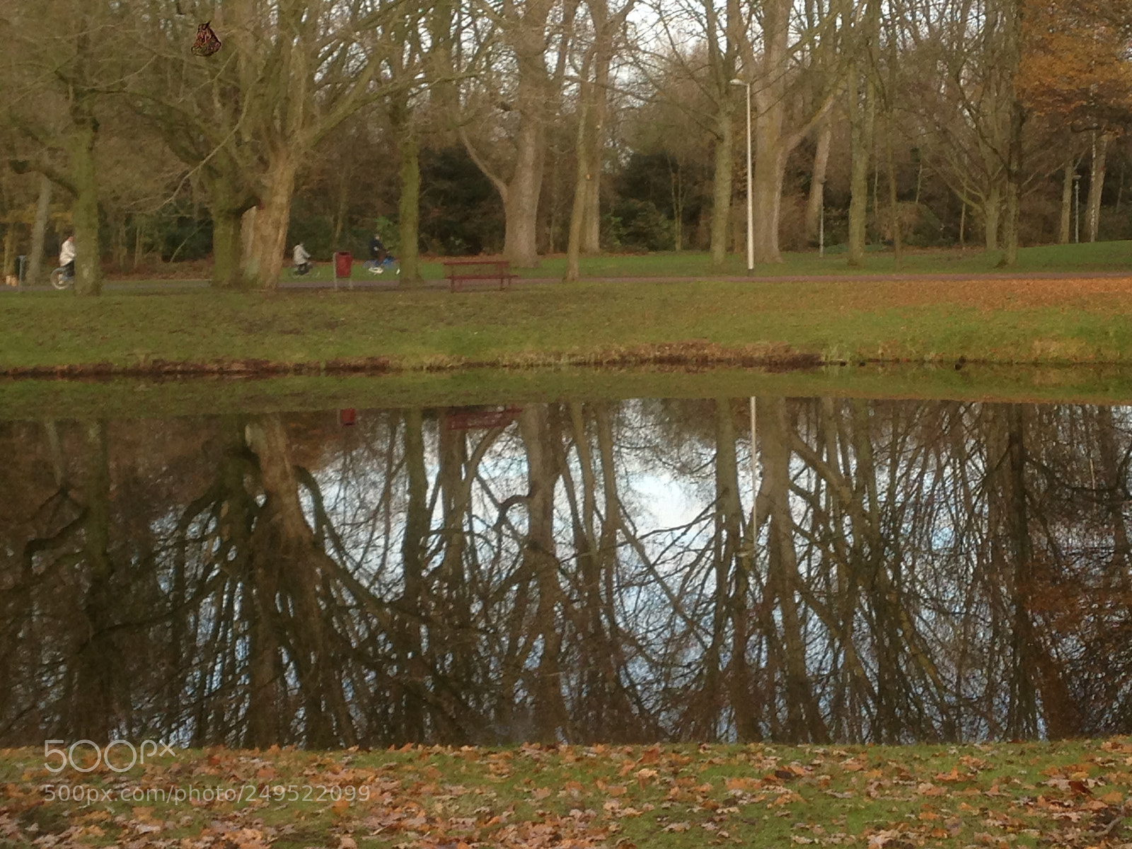 Apple iPhone 5 sample photo. Reflection more vivid than photography